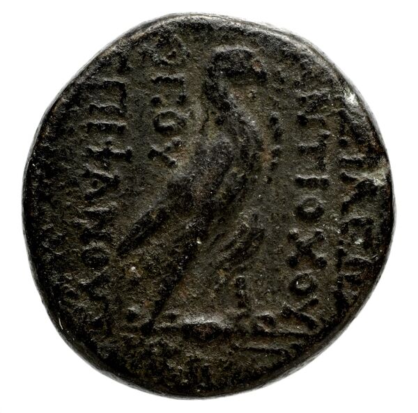 Seleucid Coins (part 2) 1414, реверс, bnf-hrc