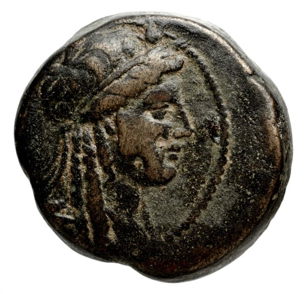 Seleucid Coins (part 2) 1414, аверс, bnf-hrc