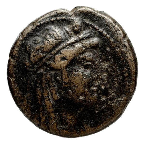 Seleucid Coins (part 2) 1414, аверс, bnf-hrc