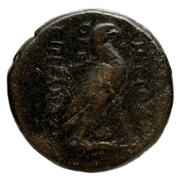 Seleucid Coins (part 2) 1414, реверс, bnf-hrc