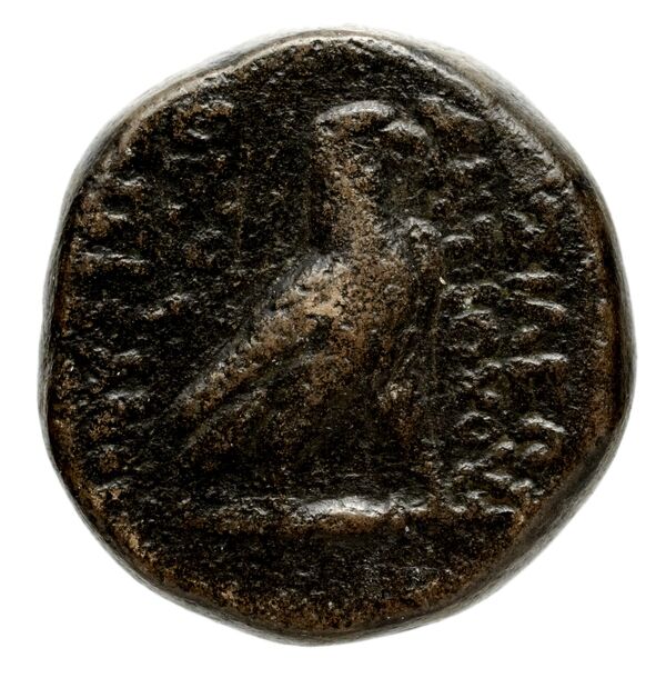Seleucid Coins (part 2) 1415, реверс, bnf-hrc