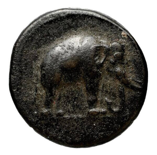 Seleucid Coins (part 1) 35, аверс, bnf-hrc