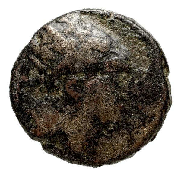 аверс Seleucid Coins (part 2) 1500e