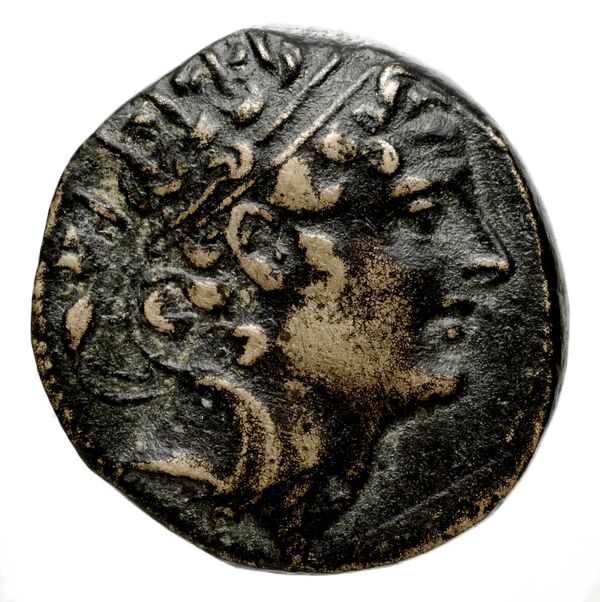 аверс Seleucid Coins (part 2) 1500f
