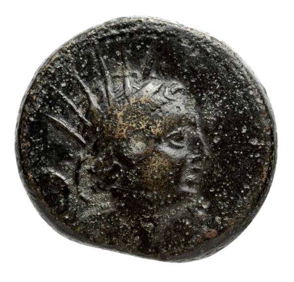 аверс Seleucid Coins (part 2) 1480.4