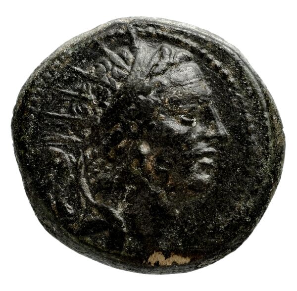 аверс Seleucid Coins (part 2) 1480.1d