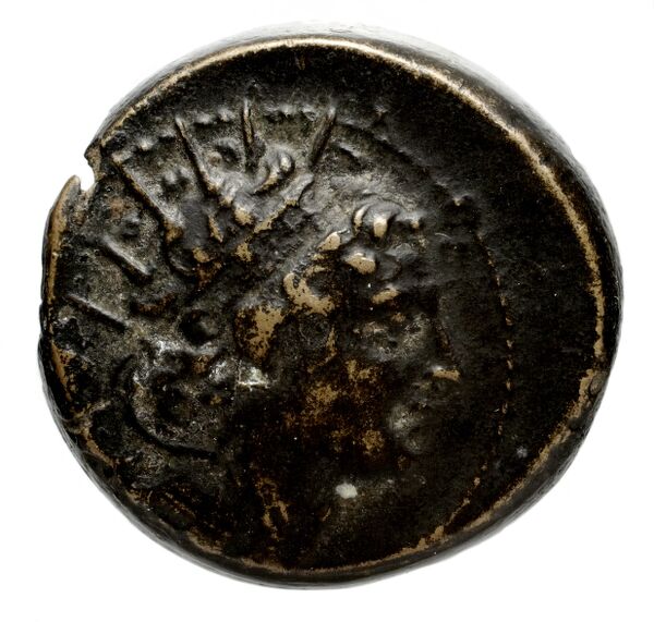Seleucid Coins (part 2) 1416.2a, аверс, bnf-hrc