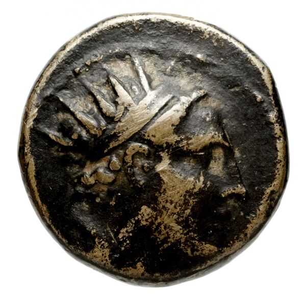 аверс Seleucid Coins (part 2) 1417.3d