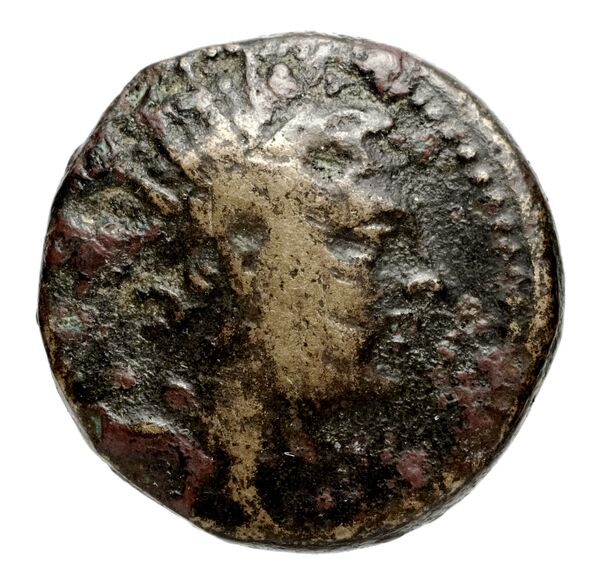 Seleucid Coins (part 2) 1417.4, аверс, bnf-hrc