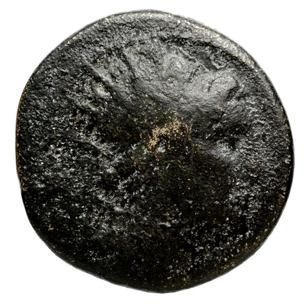 аверс Seleucid Coins (part 2) 1425.1