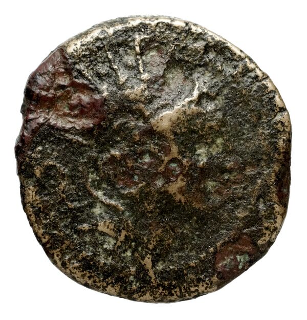 Seleucid Coins (part 2) 1426.1, аверс, bnf-hrc