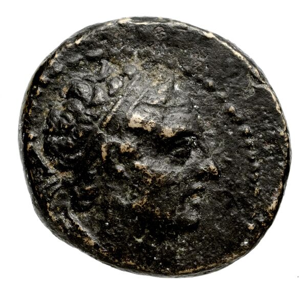 Seleucid Coins (part 2) 1429, аверс, bnf-hrc