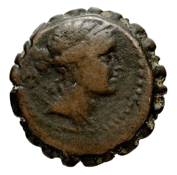 Seleucid Coins (part 2) 1317, аверс, bnf-hrc