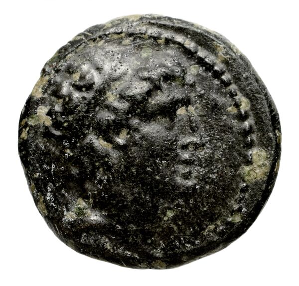 Seleucid Coins (part 2) 1429, аверс, bnf-hrc
