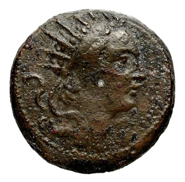 obverse Seleucid Coins (part 2) 1449.4