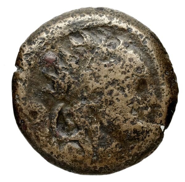 obverse Seleucid Coins (part 2) 1449.3