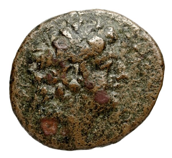 obverse Seleucid Coins (part 2) 2326.2