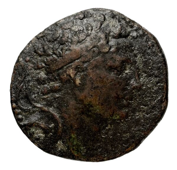 аверс Seleucid Coins (part 2) 1427b