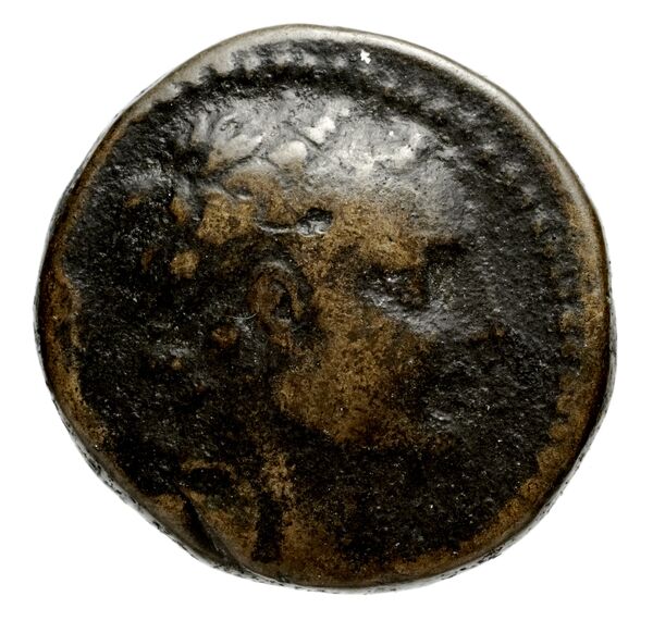 аверс Seleucid Coins (part 2) 1427c