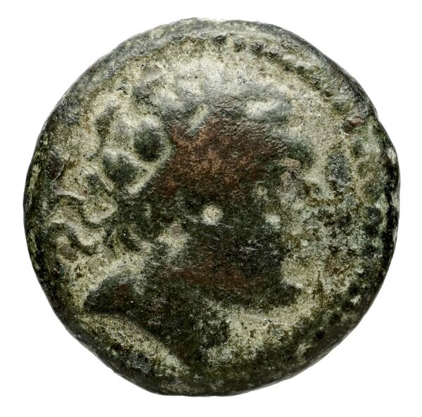аверс Seleucid Coins (part 2) 1461.2