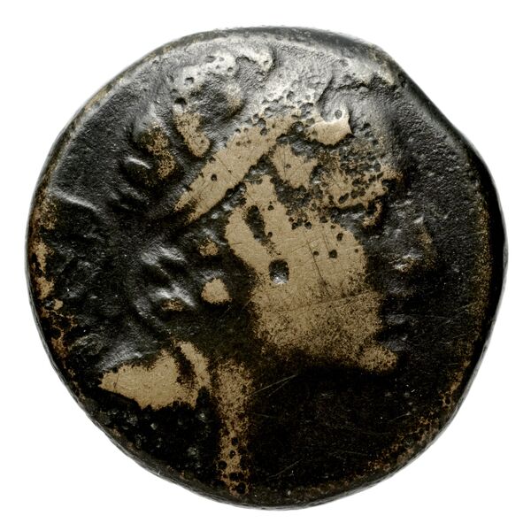 Seleucid Coins (part 2) 1463.1, аверс, bnf-hrc