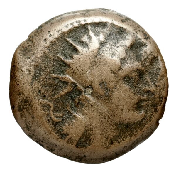 Seleucid Coins (part 2) 1468, аверс, bnf-hrc