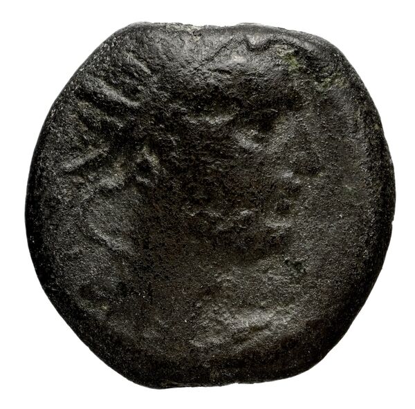 Seleucid Coins (part 2) 1468, аверс, bnf-hrc
