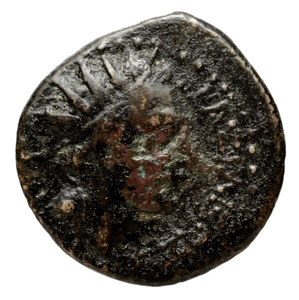 Seleucid Coins (part 2) 1456, аверс, bnf-hrc