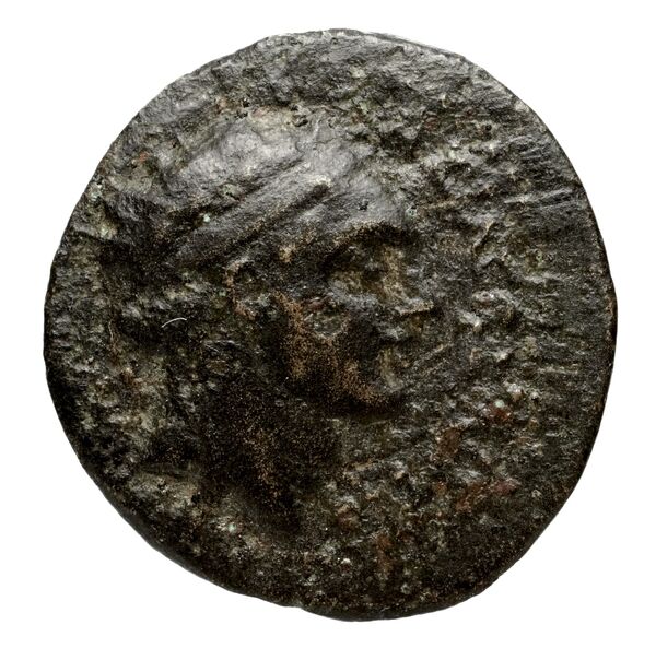 Seleucid Coins (part 2) 1456, аверс, bnf-hrc