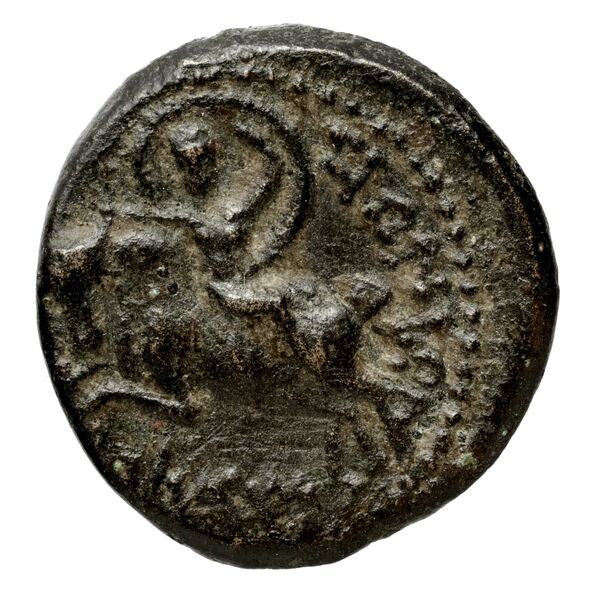 Seleucid Coins (part 2) 1456, реверс, bnf-hrc