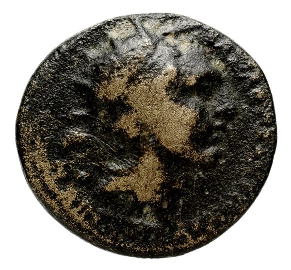 Seleucid Coins (part 2) 1454, аверс, bnf-hrc