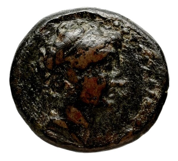 аверс Seleucid Coins (part 2) 1951