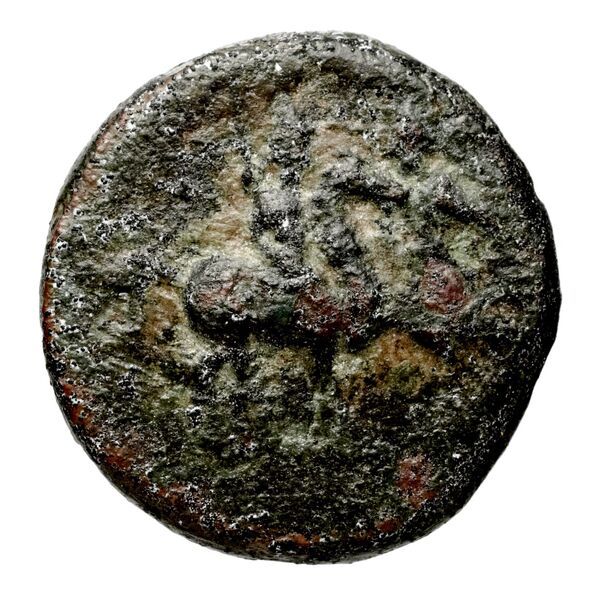 obverse Seleucid Coins (part 1) 566.1