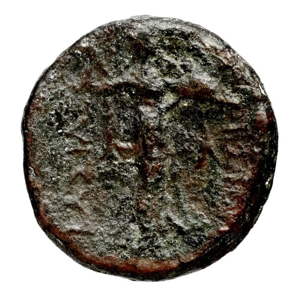 reverse Seleucid Coins (part 1) 566.1