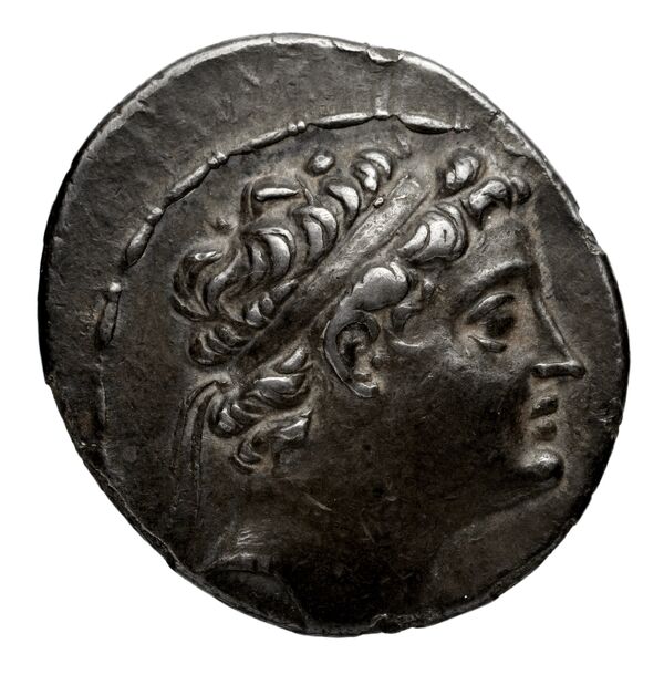 Seleucid Coins (part 2) 1575.2, аверс, bnf-hrc