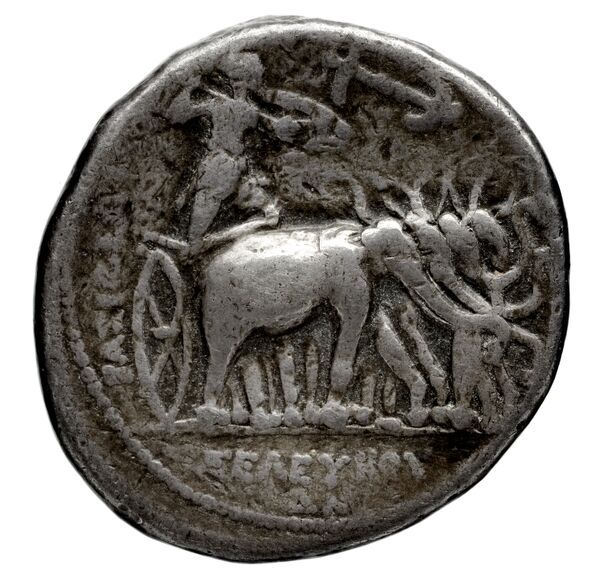 реверс Seleucid Coins (part 1) 130.11a