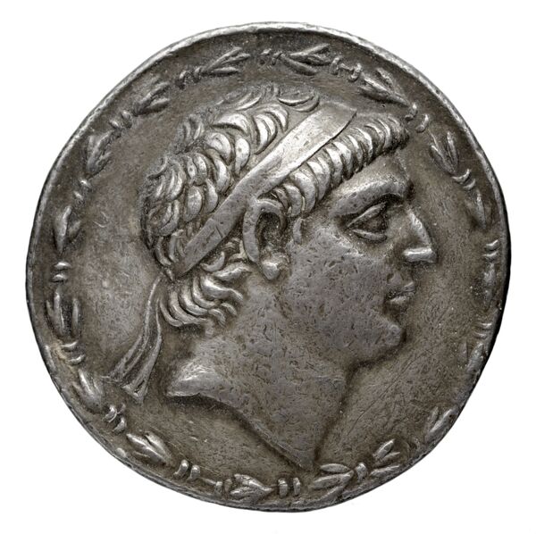 аверс Seleucid Coins (part 2) 1638.1o