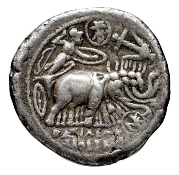 реверс Seleucid Coins (part 1) 259.2