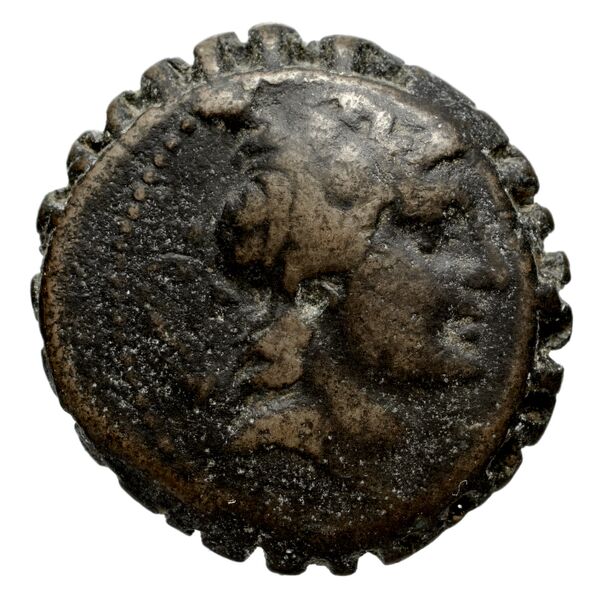 аверс Seleucid Coins (part 2) 1648a