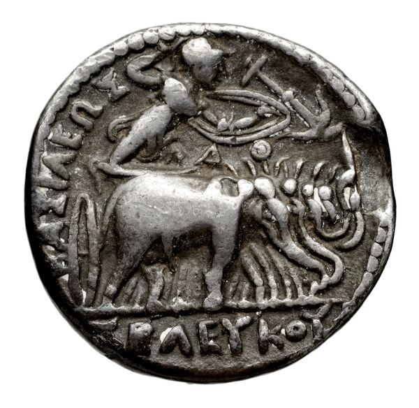 Seleucid Coins (part 1) 131, реверс, bnf-hrc