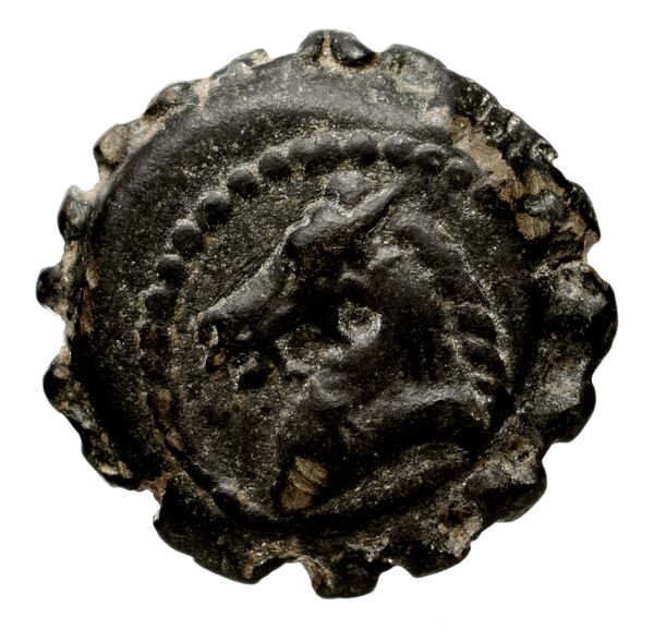 Seleucid Coins (part 2) 1646, аверс, bnf-hrc