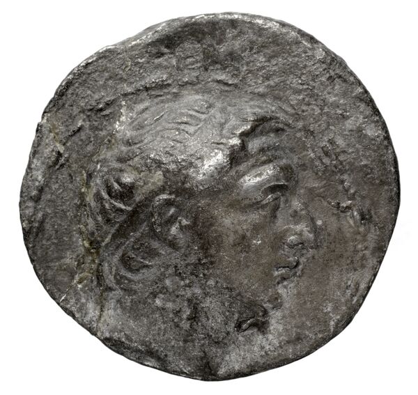 аверс Seleucid Coins (part 2) 1638.2e