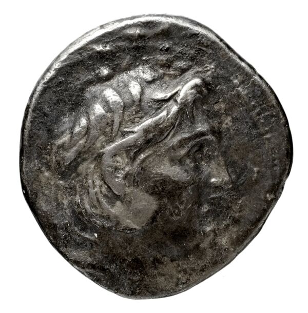 аверс Seleucid Coins (part 2) 1642.2b