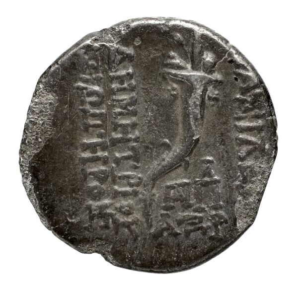 реверс Seleucid Coins (part 2) 1642.3d