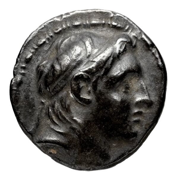 аверс Seleucid Coins (part 2) 1642.3b