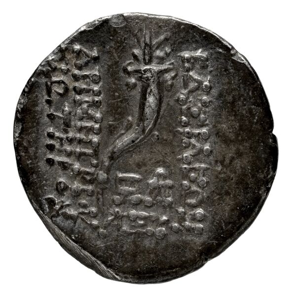 реверс Seleucid Coins (part 2) 1642.3b