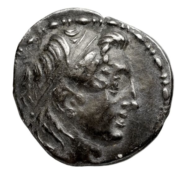 аверс Seleucid Coins (part 2) 1655