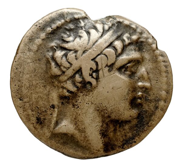 Seleucid Coins (part 2) 1672.1, аверс, bnf-hrc