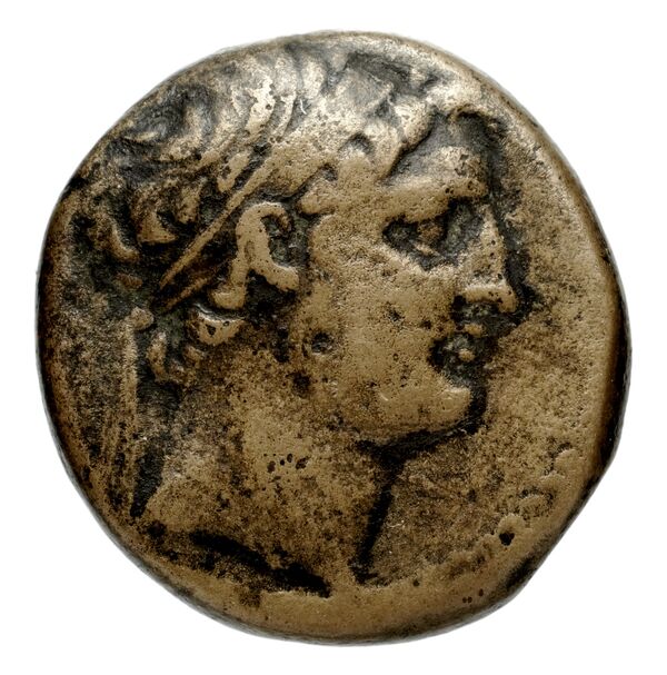 Seleucid Coins (part 2) 1672.1, аверс, bnf-hrc