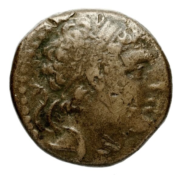 Seleucid Coins (part 2) 1672, аверс, bnf-hrc